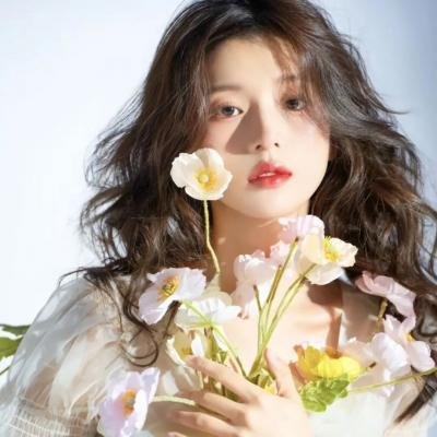 儿女英雄 高清封面