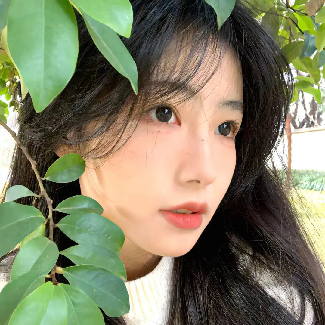 欺细金融案 高清封面