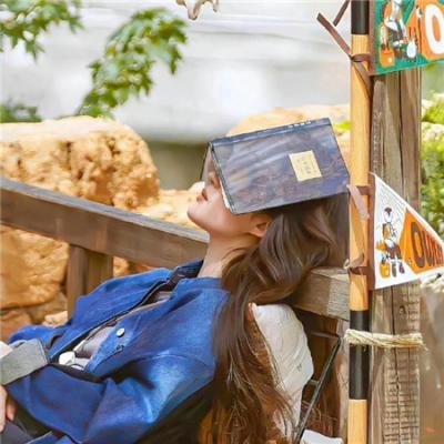英雄吉鸿昌 高清封面